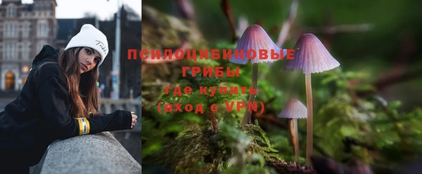 PSILOCYBIN Абаза