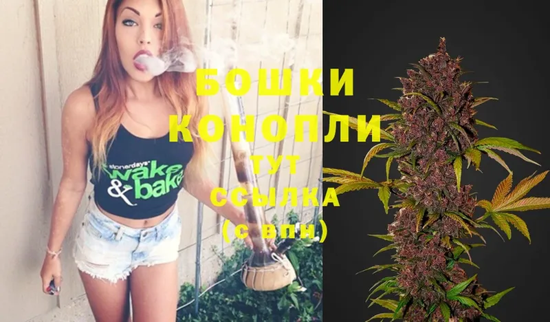 Бошки марихуана THC 21%  Алапаевск 